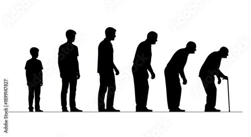 Human life cycle stages depicted as silhouettes from child to elderly.