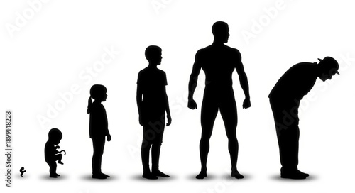 Human life cycle silhouette showing growth and aging stages.