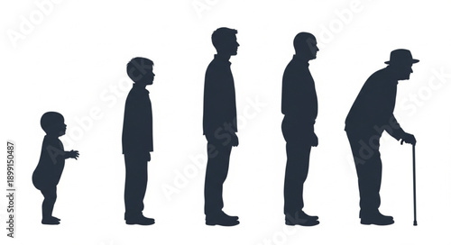 Human life cycle stages from baby to elderly man silhouette.