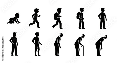 Human life cycle stages depicted as silhouettes.