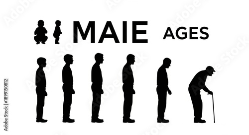 Human life cycle stages depicted by silhouettes.