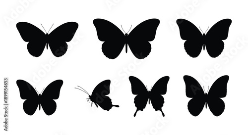 Collection of various butterfly silhouettes in black isolated on a white background featuring different wing shapes and sizes for design.