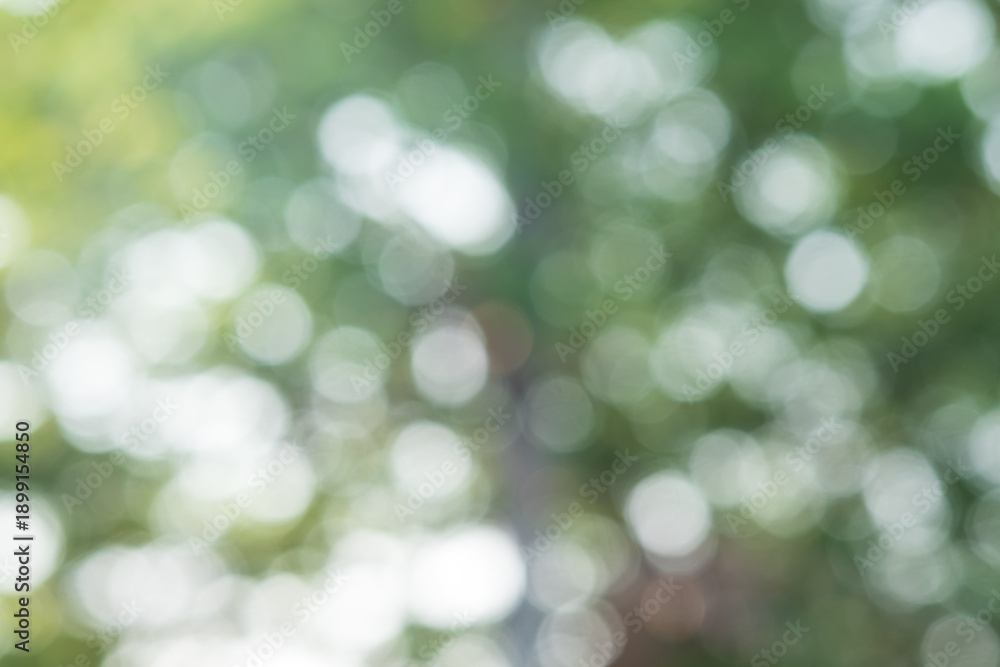 Obraz premium blurred green bokeh background