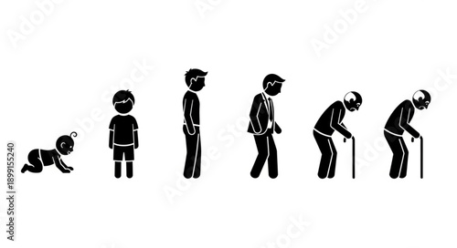 Human life cycle stages from baby to elderly person.