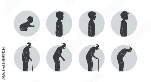 Human life cycle stages from baby to elderly person.