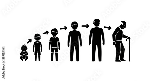 Human life cycle stages from baby to elderly person.