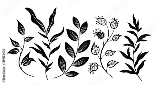 Collection of black silhouettes and sketchy line art of different leaf branches isolated on a white background for botanical projects.
