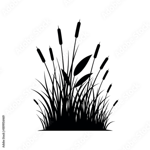 Cattail plants and reeds silhouette.