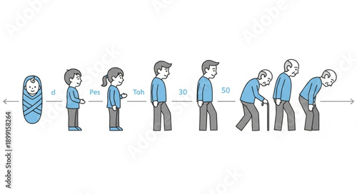 Human life cycle stages from birth to old age illustration.