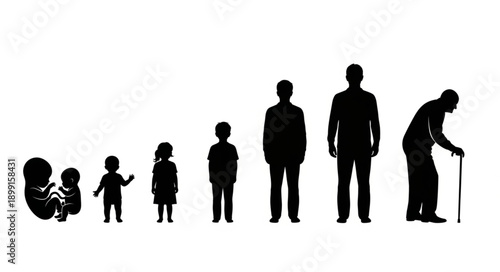 Human life cycle stages from birth to old age silhouettes.