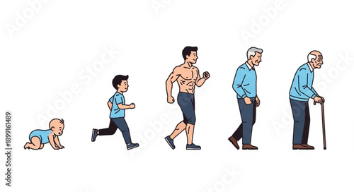 Human life cycle stages from infancy to old age depicted in a line.