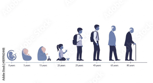Human life cycle stages from infancy to old age depicted visually.