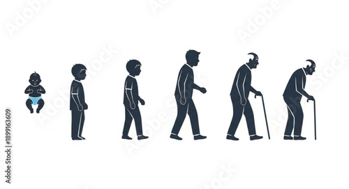 Human life cycle stages from infancy to old age represented by silhouettes.