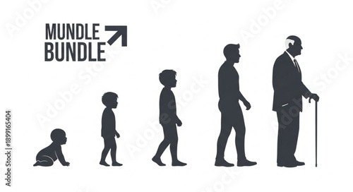 Human life cycle stages represented by silhouettes.