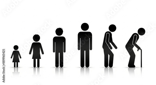 Human life cycle stages represented by silhouettes.