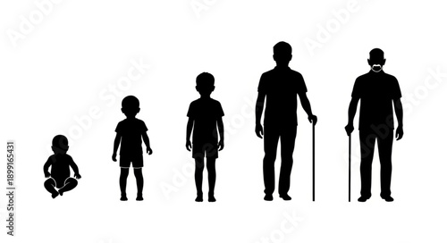 Human life cycle stages represented by silhouettes.