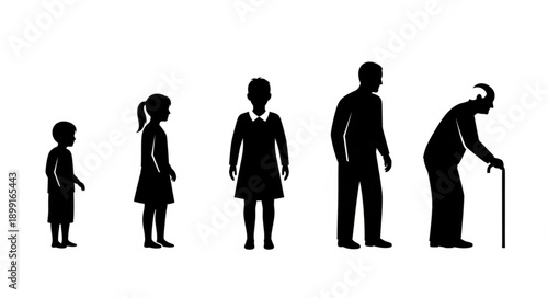 Human life cycle stages represented by silhouettes.