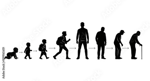 Human life cycle stages from infancy to old age silhouette progression.
