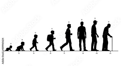 Human life cycle stages from infancy to old age silhouette progression.