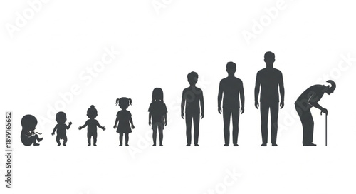 Human life cycle stages from infancy to old age silhouette progression.