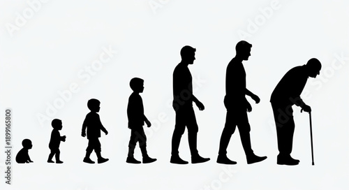 Human life cycle stages from infancy to old age silhouettes.