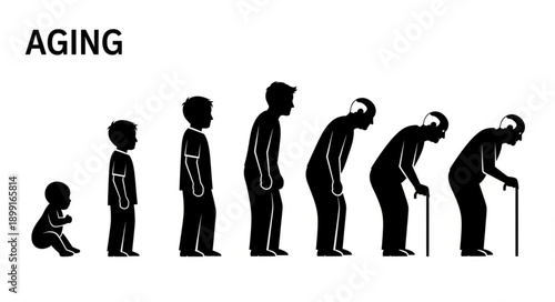 Human life cycle stages from infancy to old age silhouettes.