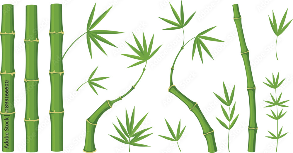 Obraz premium Green Bamboo Stalk And Leaf Element Set For Tropical Nature Design Botanical Illustration And Asian Style Vector Graphics