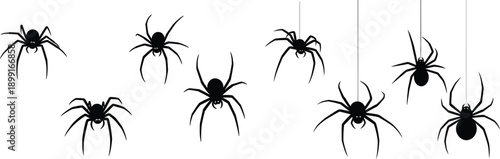 Collection of Black Spider Silhouettes Hanging on Webs and Crawling for Halloween Decorations, Creepy Arachnid Vector Set for Spooky Design