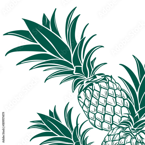 Green pineapple illustration
