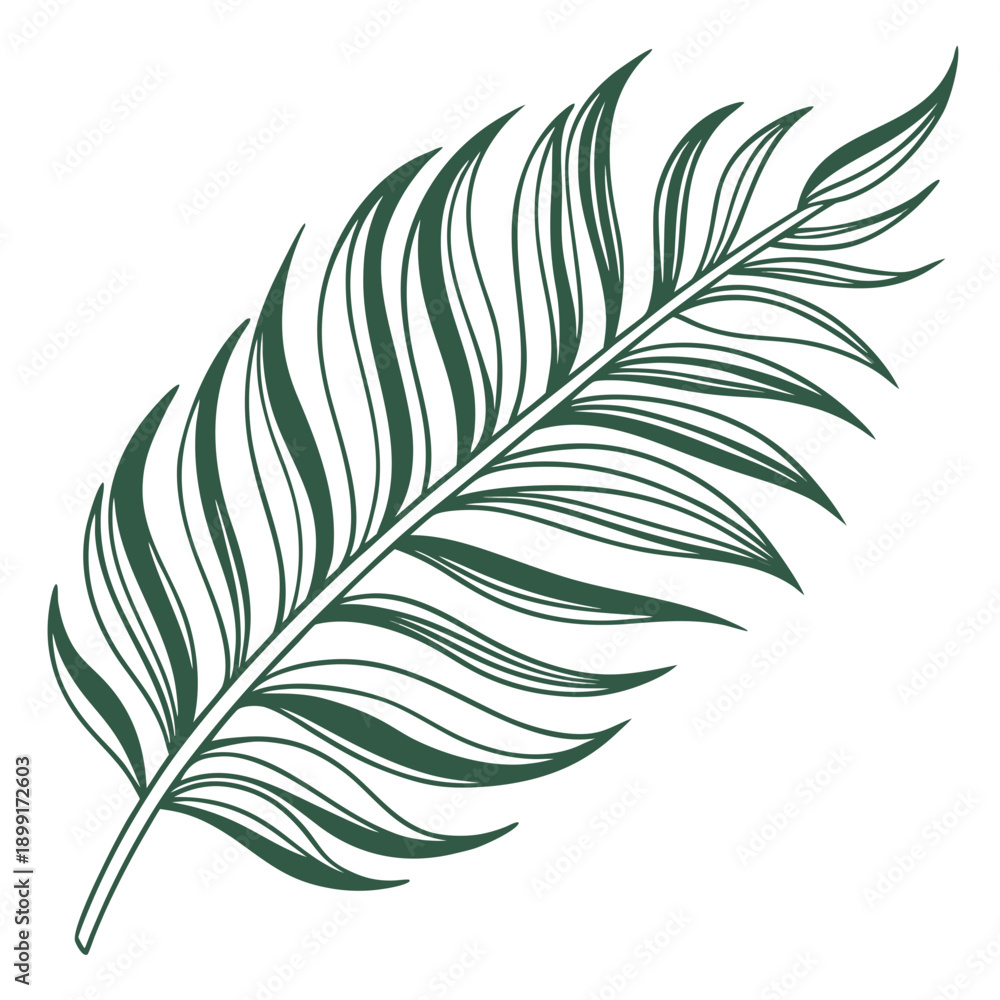 Fototapeta premium Green feather illustration