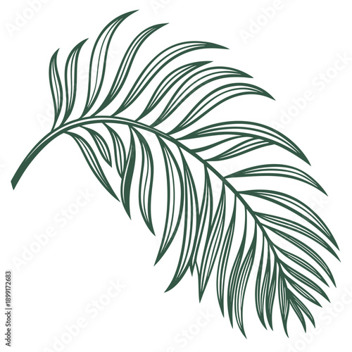 Green leaf illustration