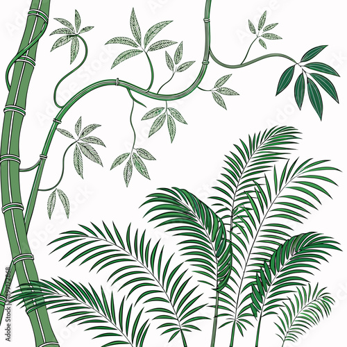 Tropical bamboo and leaves illustration