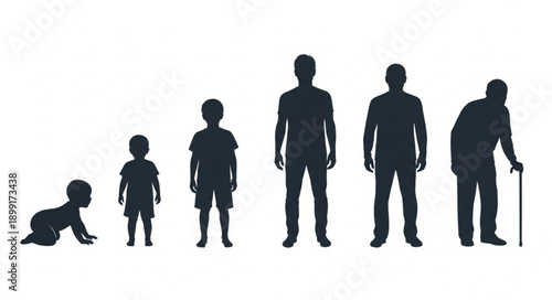 Human life cycle stages silhouette from baby to elderly person.