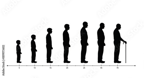 Human life cycle stages represented by silhouettes of men.