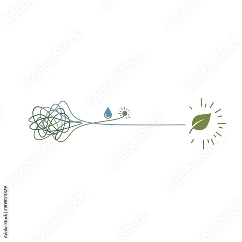 From Chaos to Growth - The Journey of a Seedling.