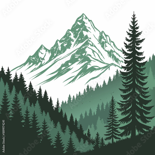 Mountain landscape with forest