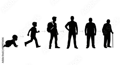 Human life cycle stages silhouette progression from baby to elder.