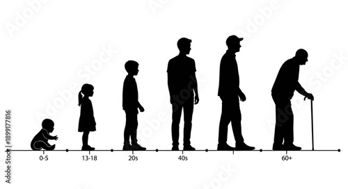 Human life stages depicted in silhouette from infancy to old age.