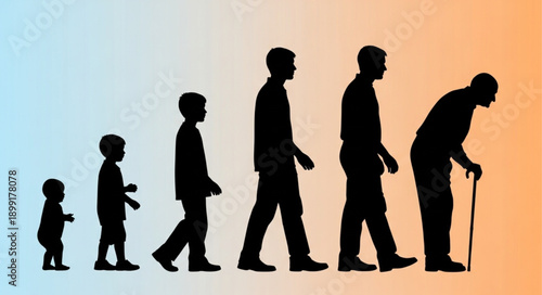 Human life cycle stages silhouette progression from baby to elderly person.