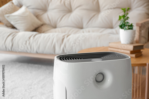 Modern humidifier in light ...