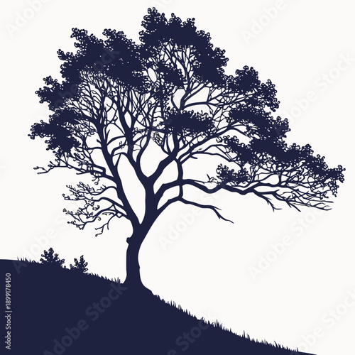 Silhouette of a tree on a hill