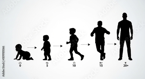 Human life stages progression from baby to adult silhouette.