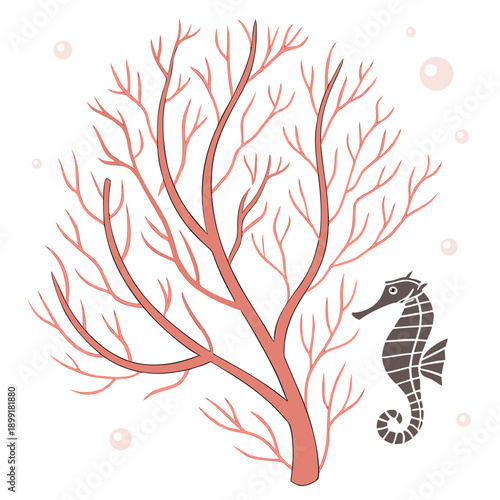 Seahorse and coral illustration
