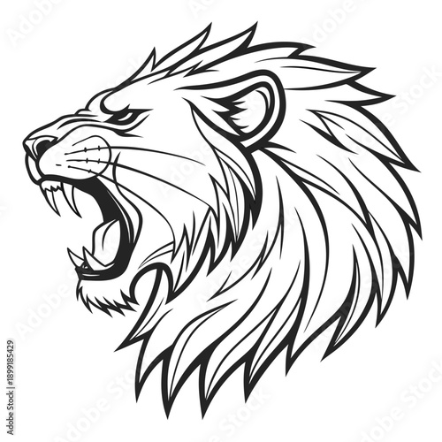 Lion head illustration