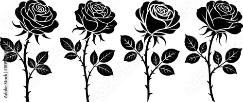 Four black silhouette rose stems with leaves and thorns on white background flower