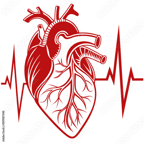 Heart health illustration