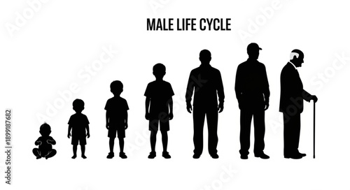 Male Life Cycle Stages Silhouette Illustration.