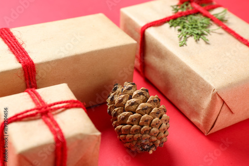 Pine cone and Christmas gif...