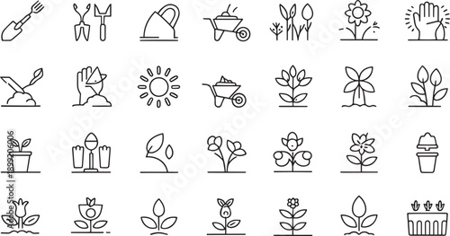 Gardening tools and plants illustration set