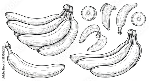 Detailed black and white illustration set featuring various arrangements of ripe bananas and peeled skins